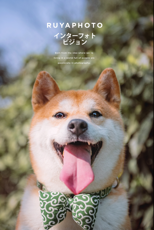 狗.png